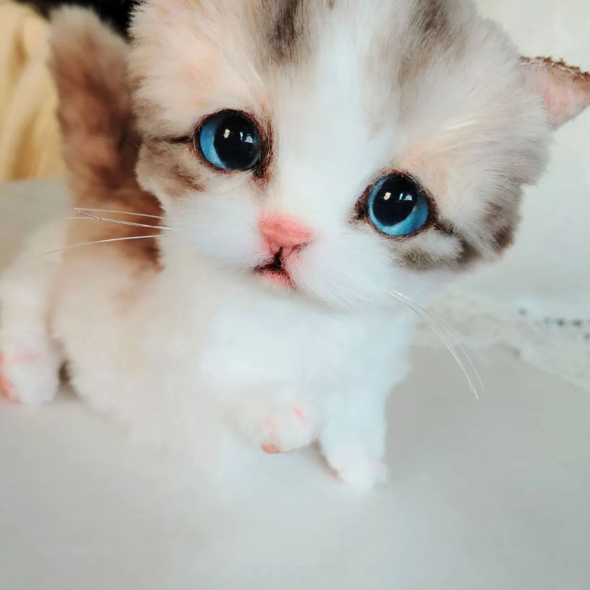 よちよちあんよ♡短足ころころボディ♡マンチカン子猫ちゃん♡アートドールぬいぐるみ ころころボディ♡よちよち短足♡マンチカン子猫ちゃん♡アートドール