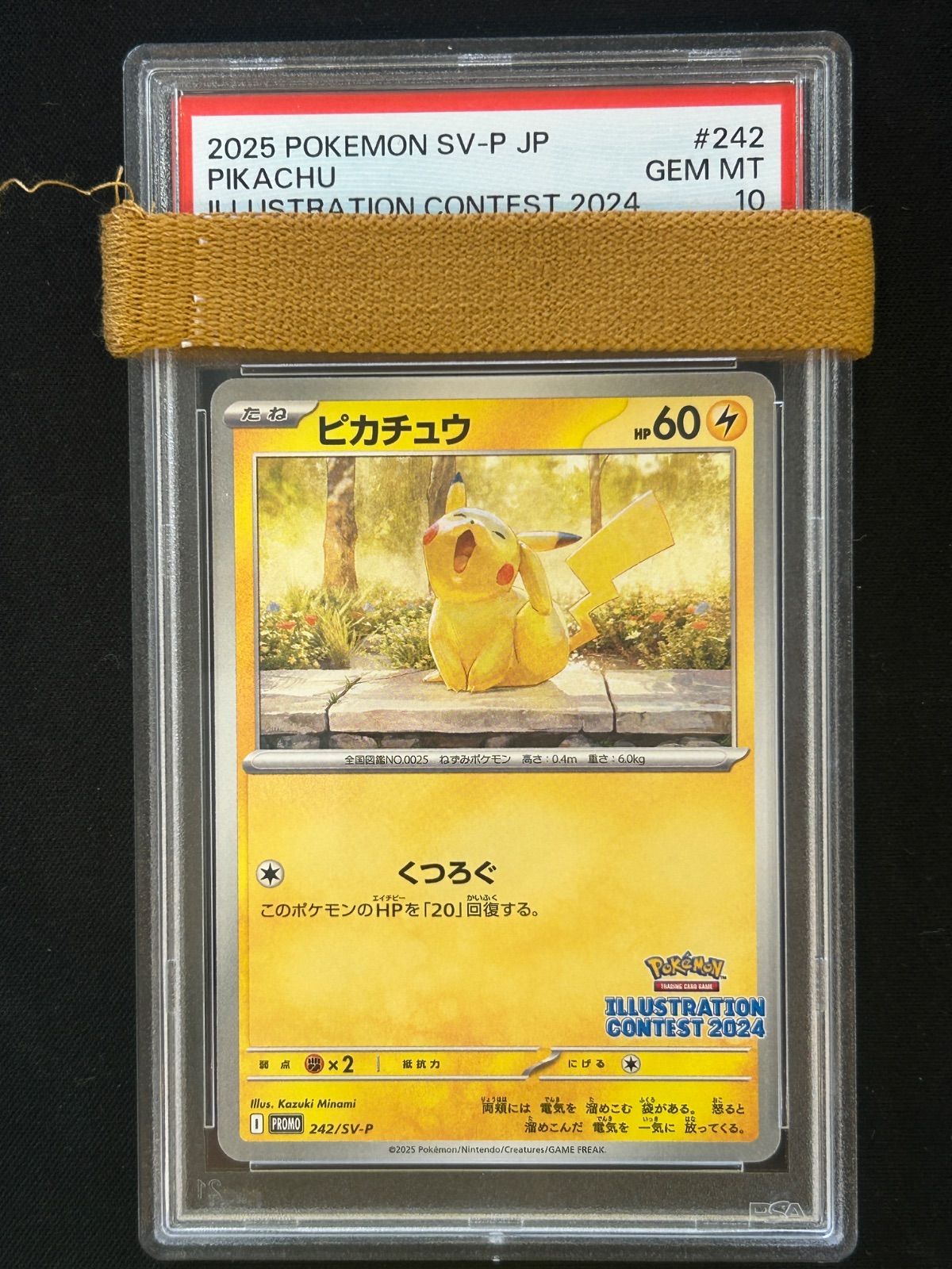 PSA10 ピカチュウ 242|SV-P イラストレーションコンテスト
