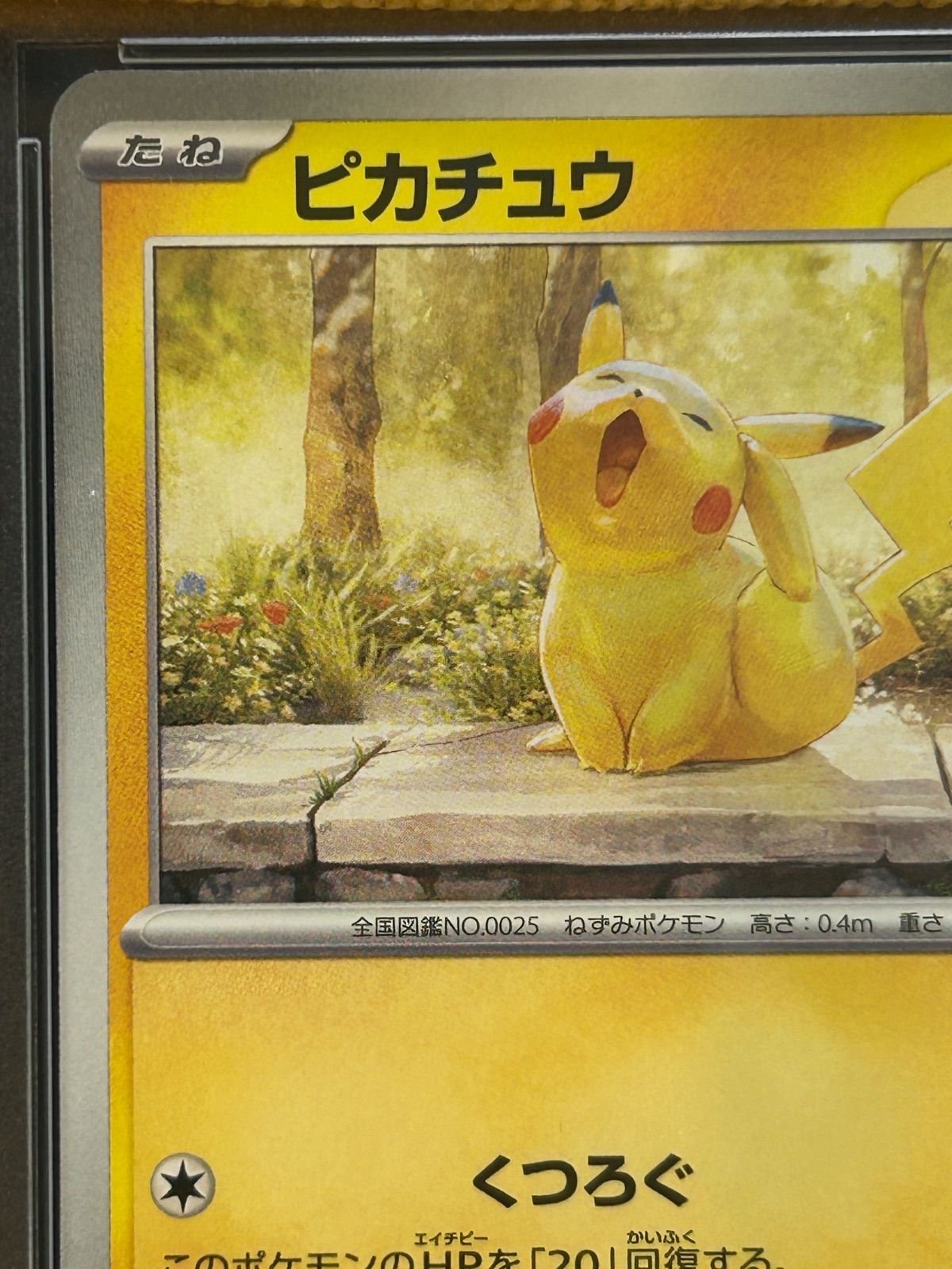 PSA10 ピカチュウ 242 SV-P イラストレーションコンテスト WWW_NOITHATQUANGTHANH_NET