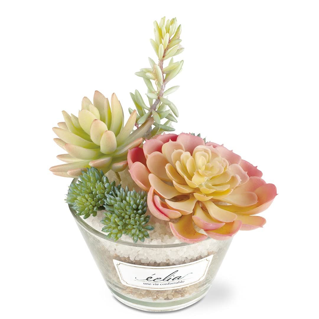 クリーブランド SEC サイン 4枚セット クリーブランド SEC サイン 4枚セット