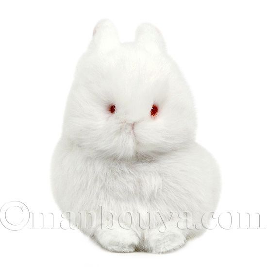 うさぎ ぬいぐるみ ホワイト 赤目 内藤デザイン研究所 わたぽ ウサギ