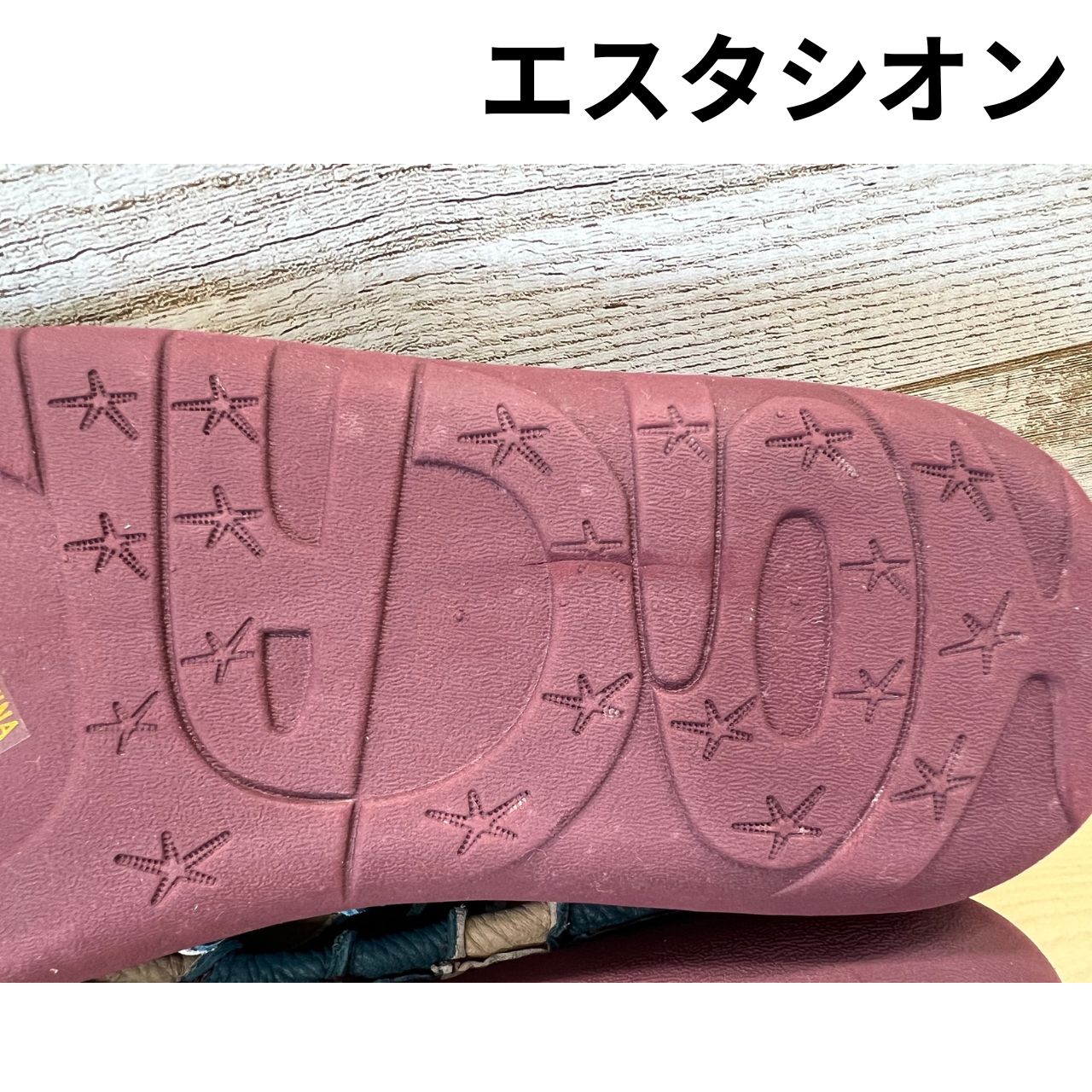 エスタシオン TG