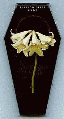 HYDE プロモーション用CD SHALLOW SLEEP Hyde - Shallow Sleep - Amazon.com Music