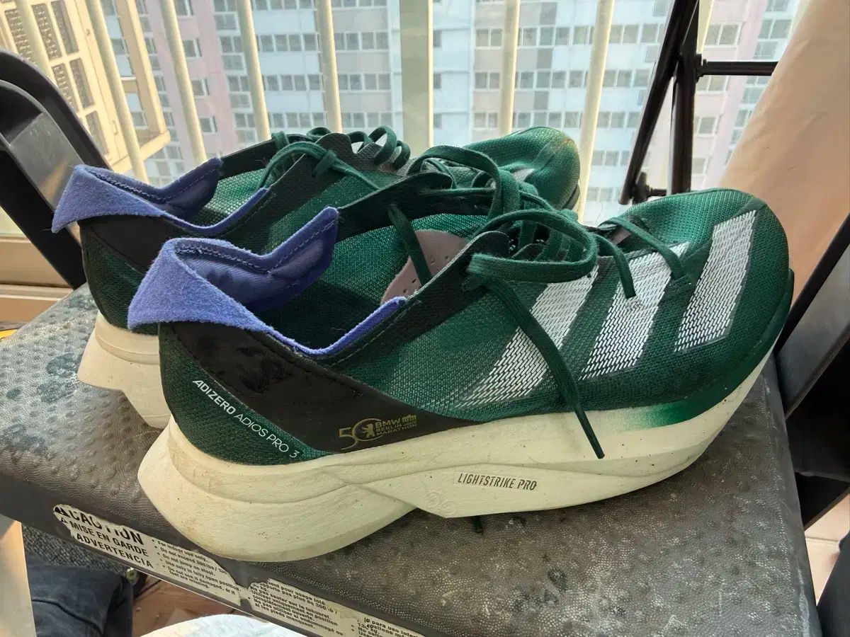 ベルリンエディション