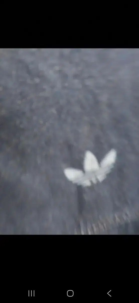 アディダス デニム