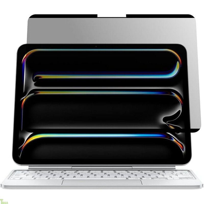 LOE(ロエ) マグネット式 iPad 覗き見防止フィルム iPad Pro 11インチ (M4, 2024) フィルター 反射防止 横向きタイプ プライバシーフィルター アイパッド プロ 11 a