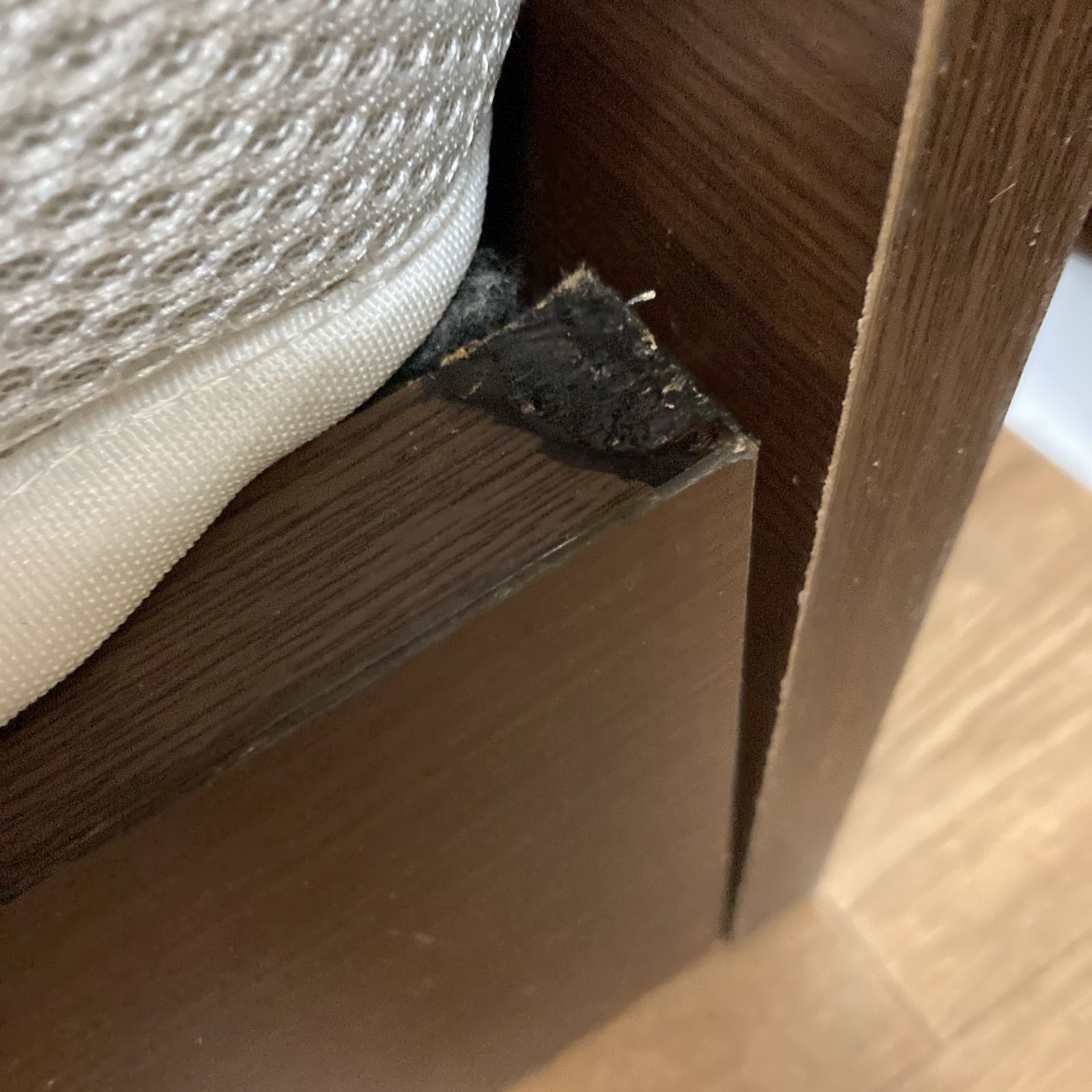 ASLEEP タンスのゲン