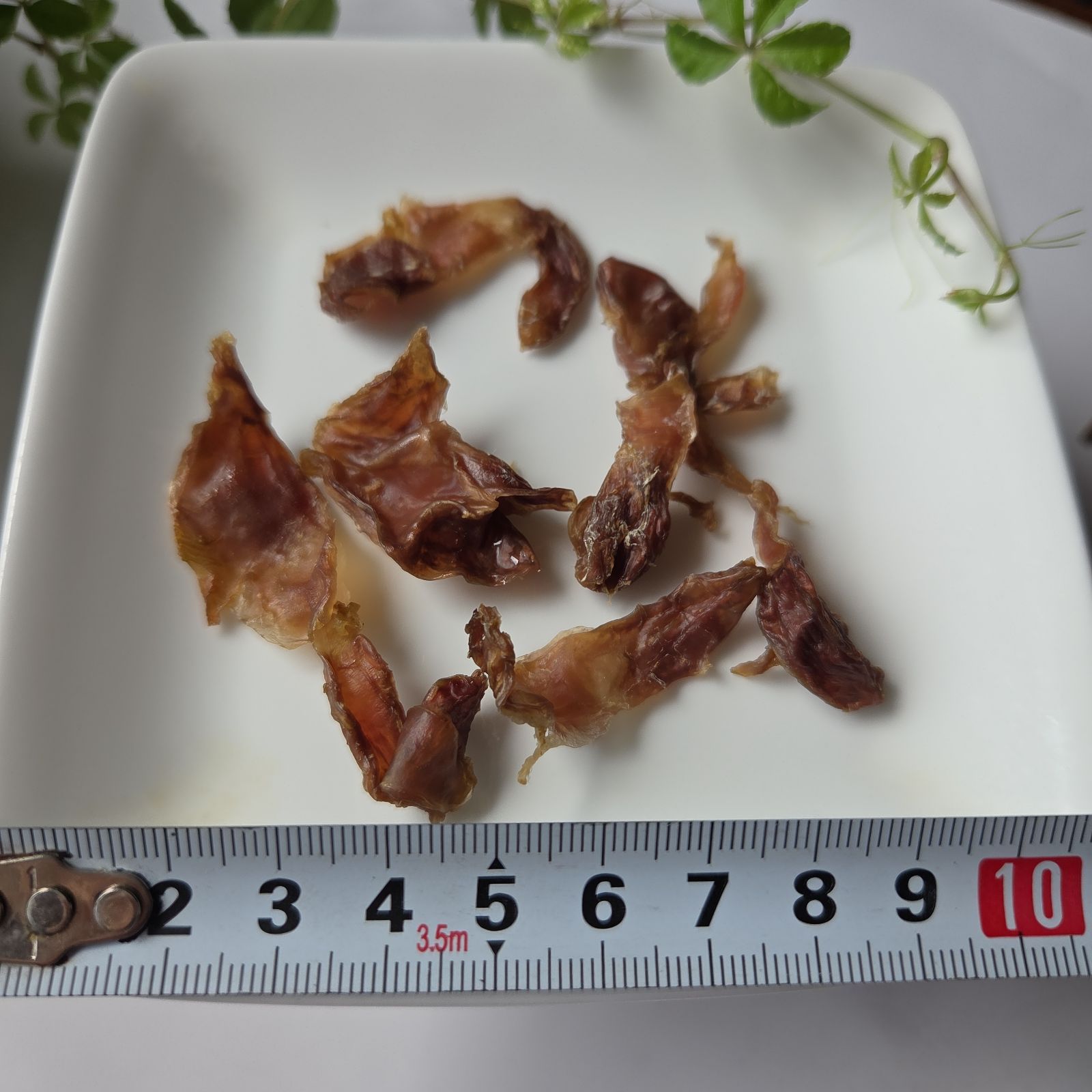 様専用 犬の無添加おやつ - メルカリ