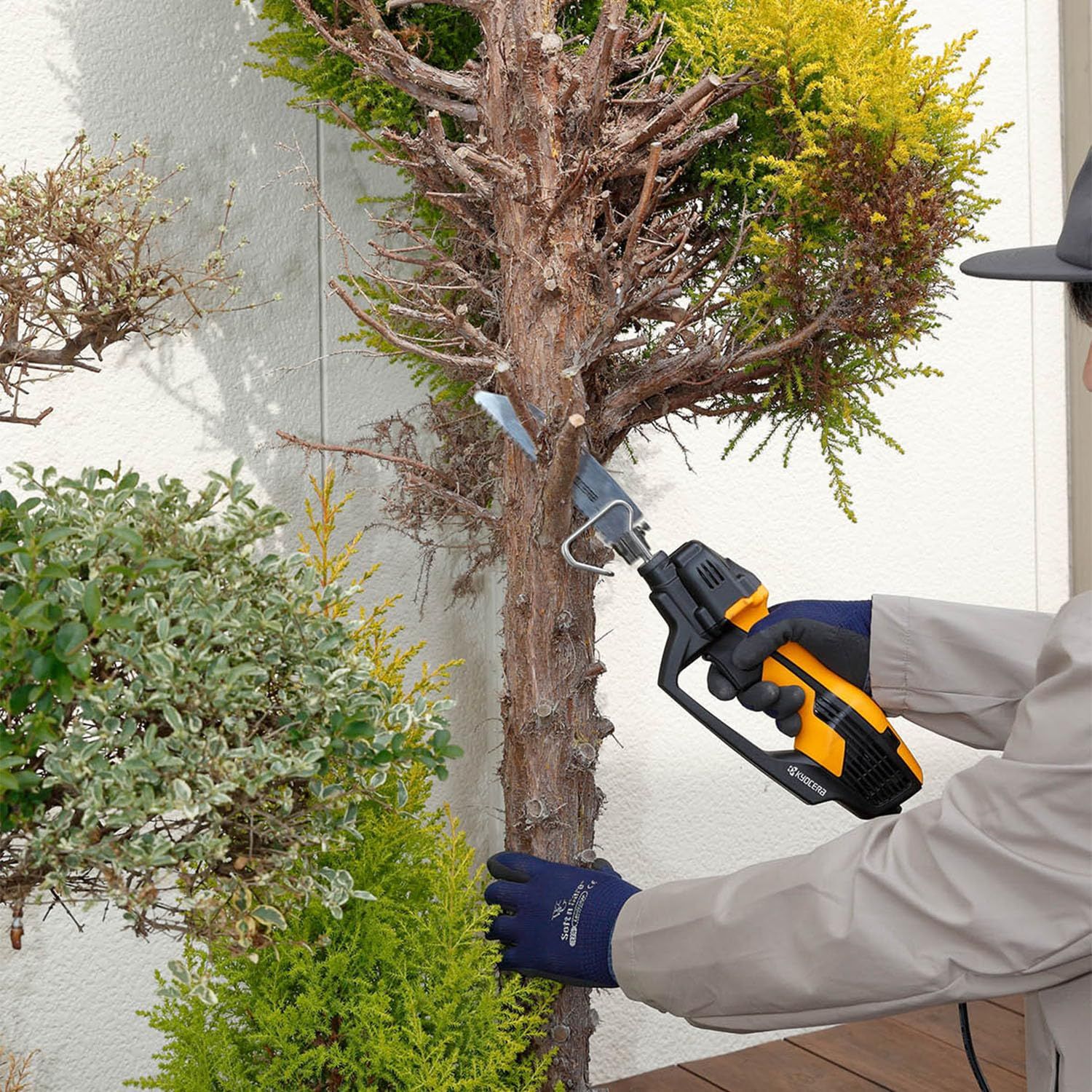 木材から軟鋼材の切断