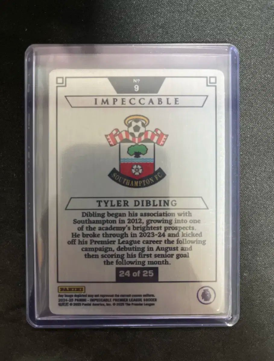 24-25 インペッカブル タイラー ディブリング 25 カード LLC-HASEGAWATOSO_COM