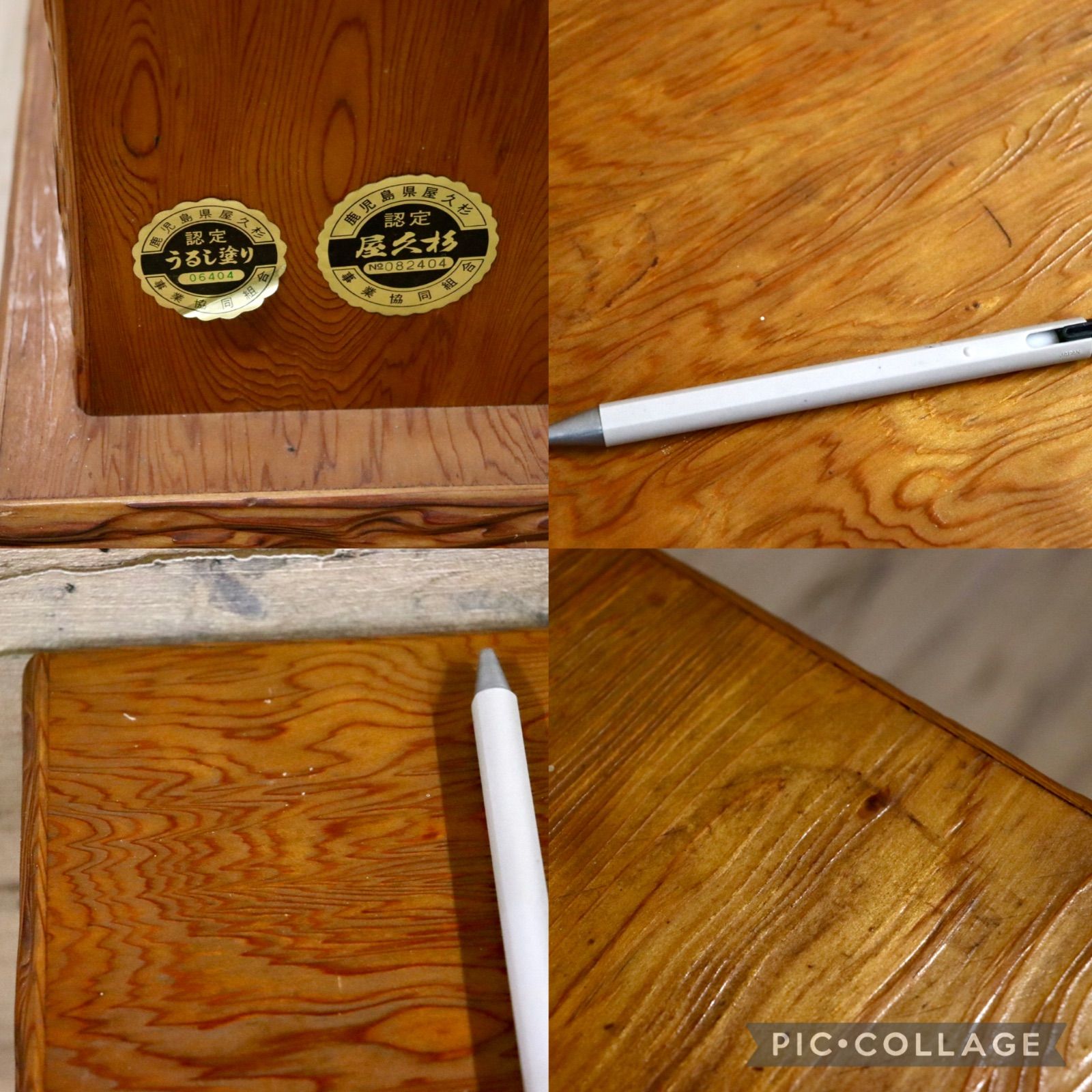 世界遺産屋久杉