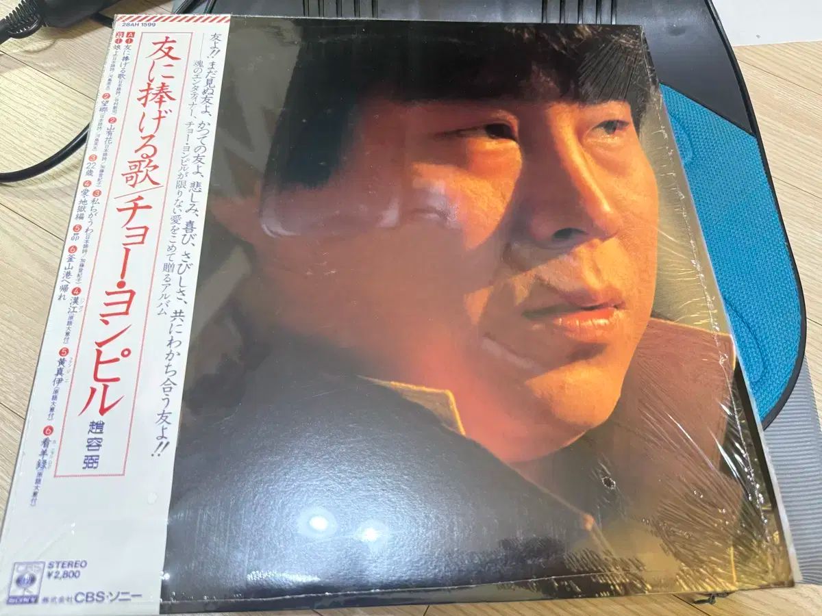 日本 LP 記録 チョン フィル ー 代表曲 PROMO サンプルクラス ミントグレード