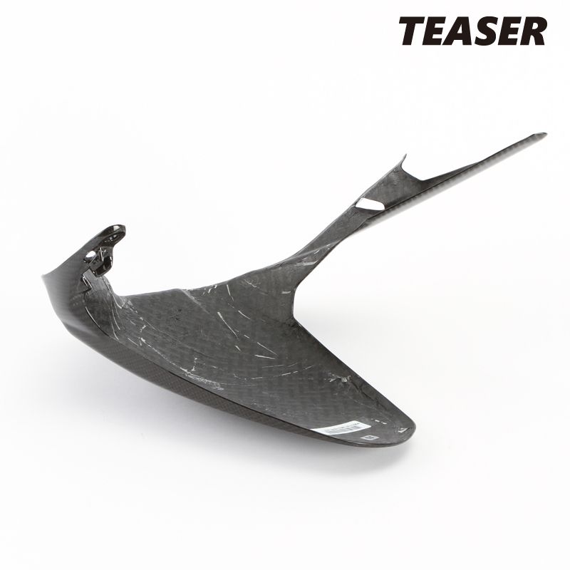 TEASER RFD12G REAR FENDER DRY CARBON HG DUCATI PANIGALE V4 S 25- ティーザー カーボン リアフェンダー BRIGHTFACE_UK