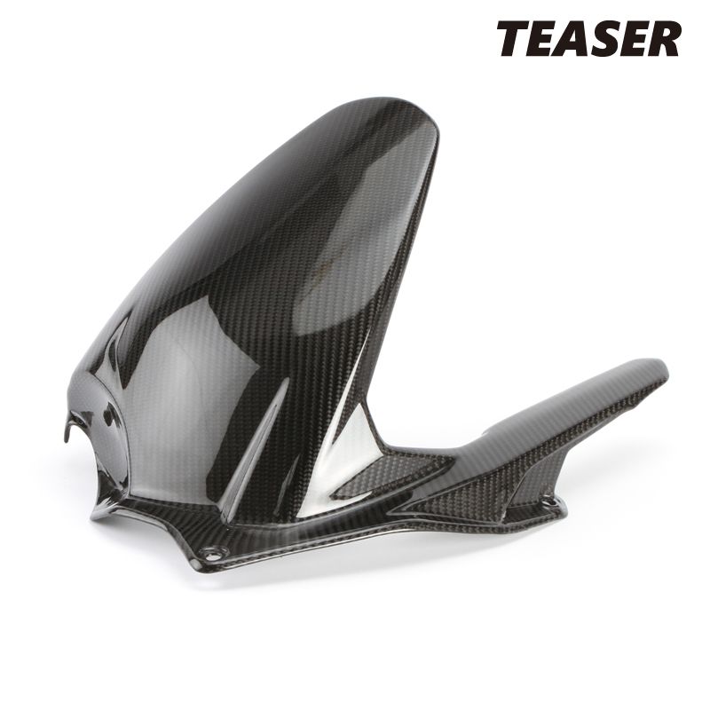 TEASER RFD12G REAR FENDER DRY CARBON HG DUCATI PANIGALE V4|S 25- ティーザー カーボン リアフェンダー