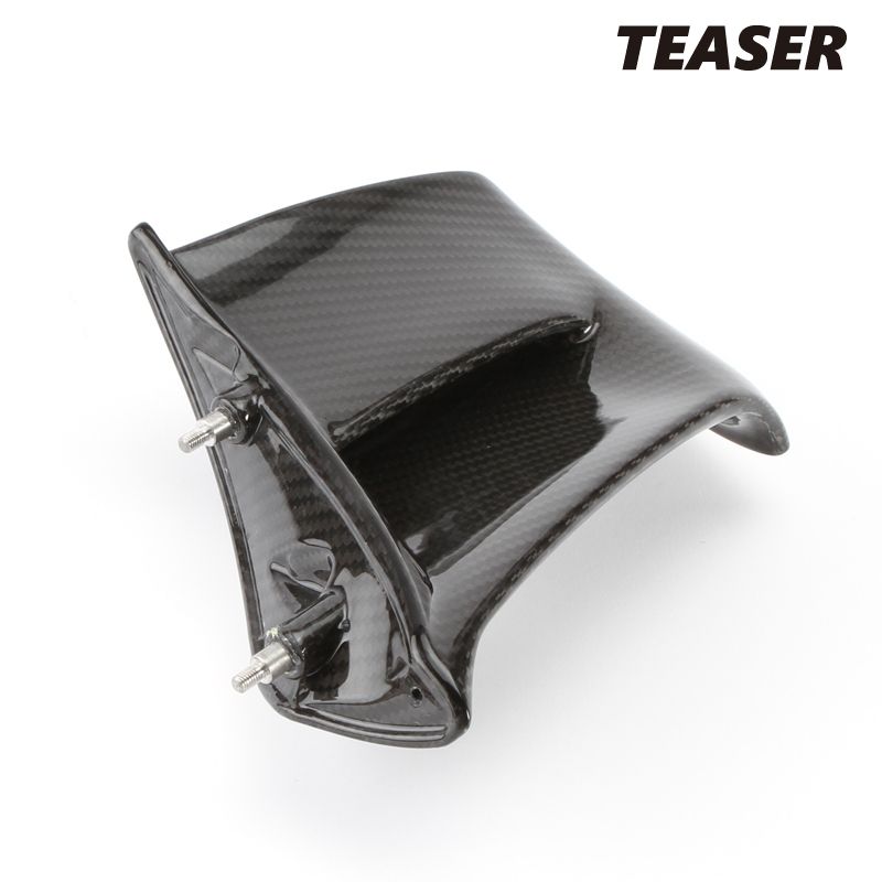 TEASER SPD10G SIDE WINGLET DRY CARBON HG DUCATI PANIGALE V4 S 25- ティーザー カーボン サイド パネル
