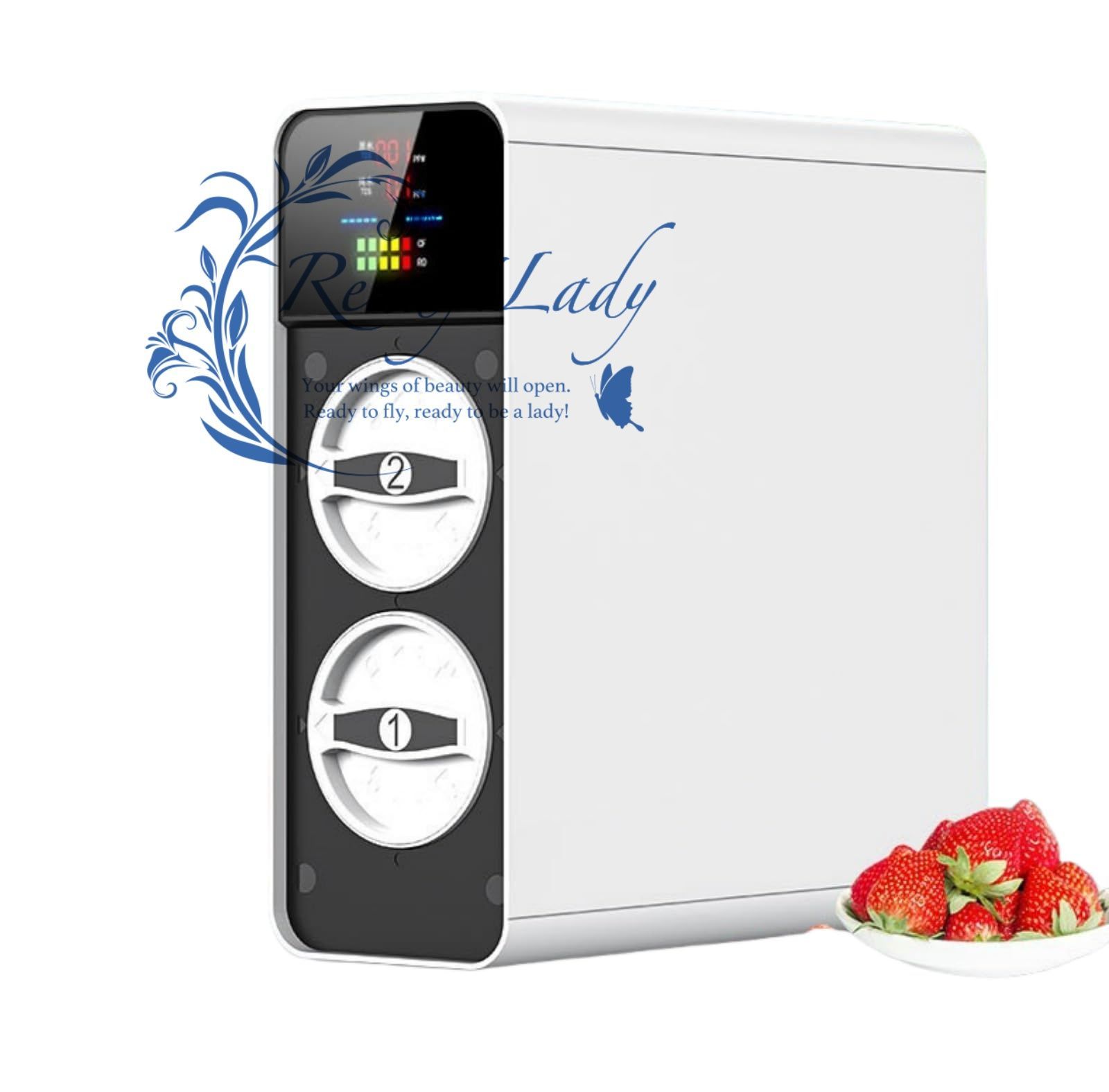 新登場家庭用キッチン浄水器 RO膜逆浸透キッチン浄水器 直接飲用水道水ディスペンサー110V 600G