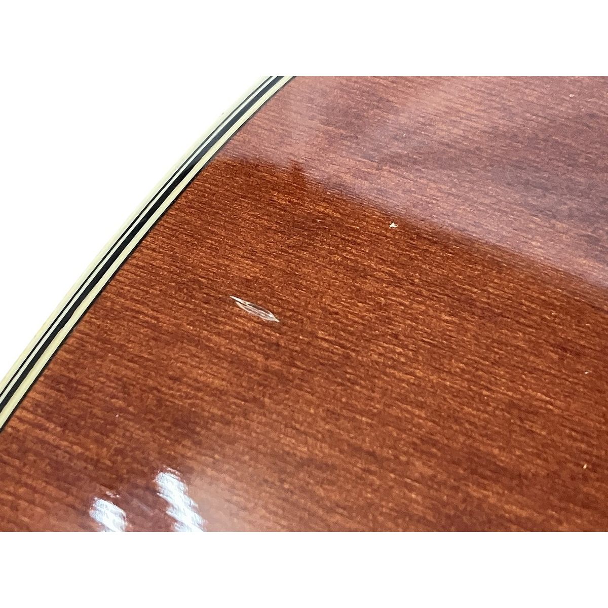 Takamine PT507 アコースティックギター エ コ 弦楽器 ソフトケース付き タカミネ W10534176 WWW_TRAVELLANDINDIA_COM