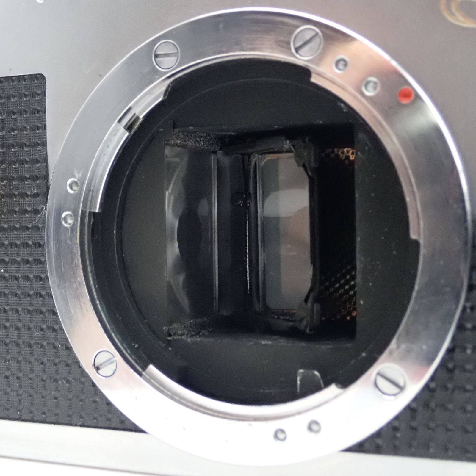 ハーフフレイム 113883