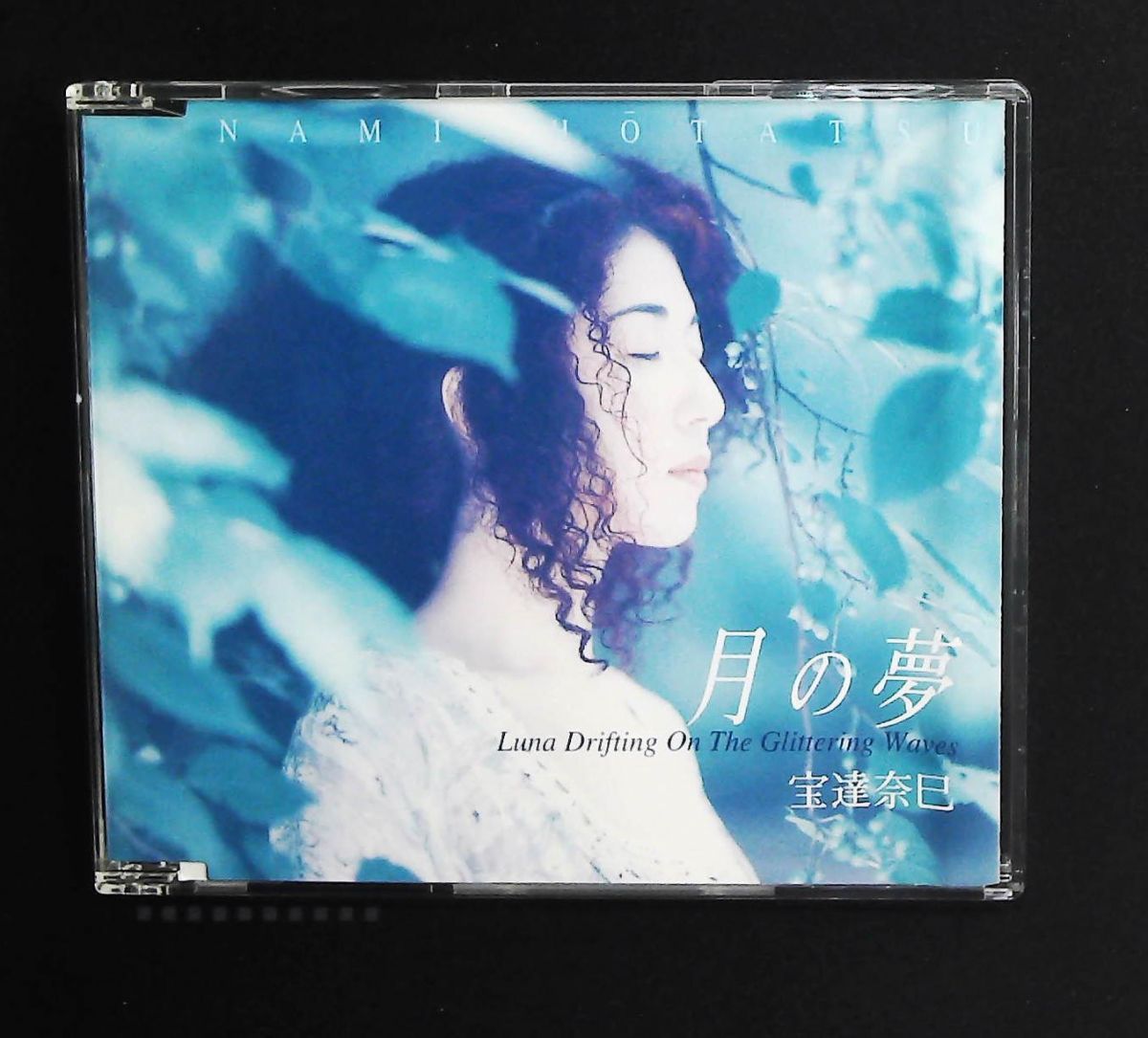 月の夢 CD ホータツ ナミ インディペンデントレーベル
