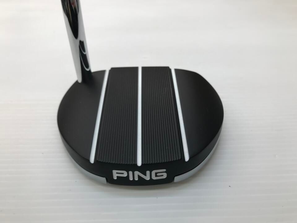 シャドウバースエボルヴ トウカイテイオーPSA10 進化ラインセット （連