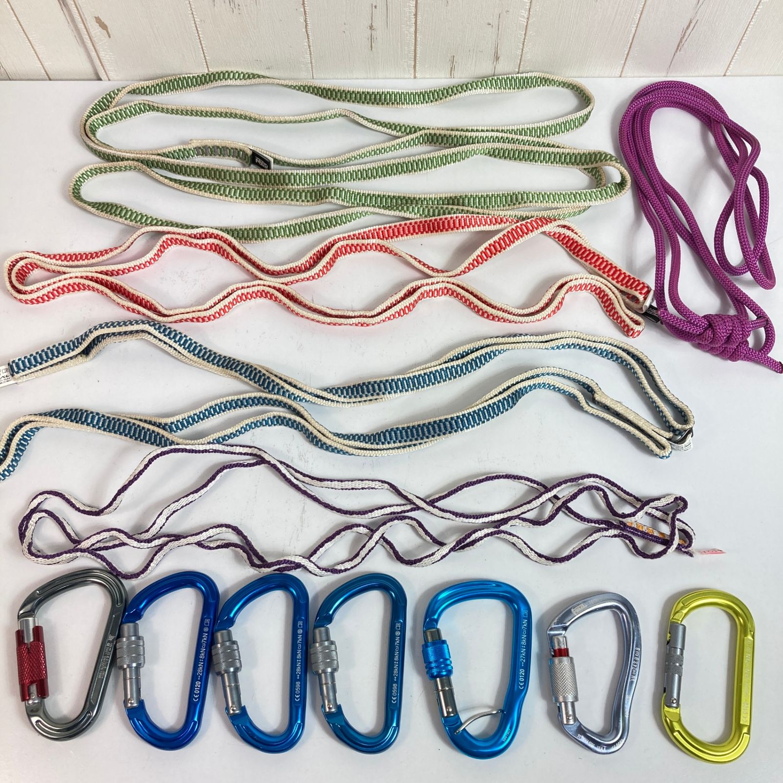 OneSize ブルー系 Petzl ペツル カラビナ スリング セット バルク セカンドギアオリパ ロッククライミングギア z00053771 ロッククライミングギア