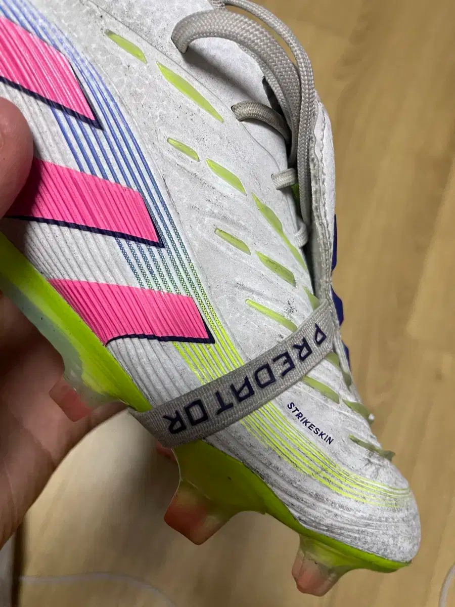 プレデター25 fg エリート 265 LLC-HASEGAWATOSO_COM