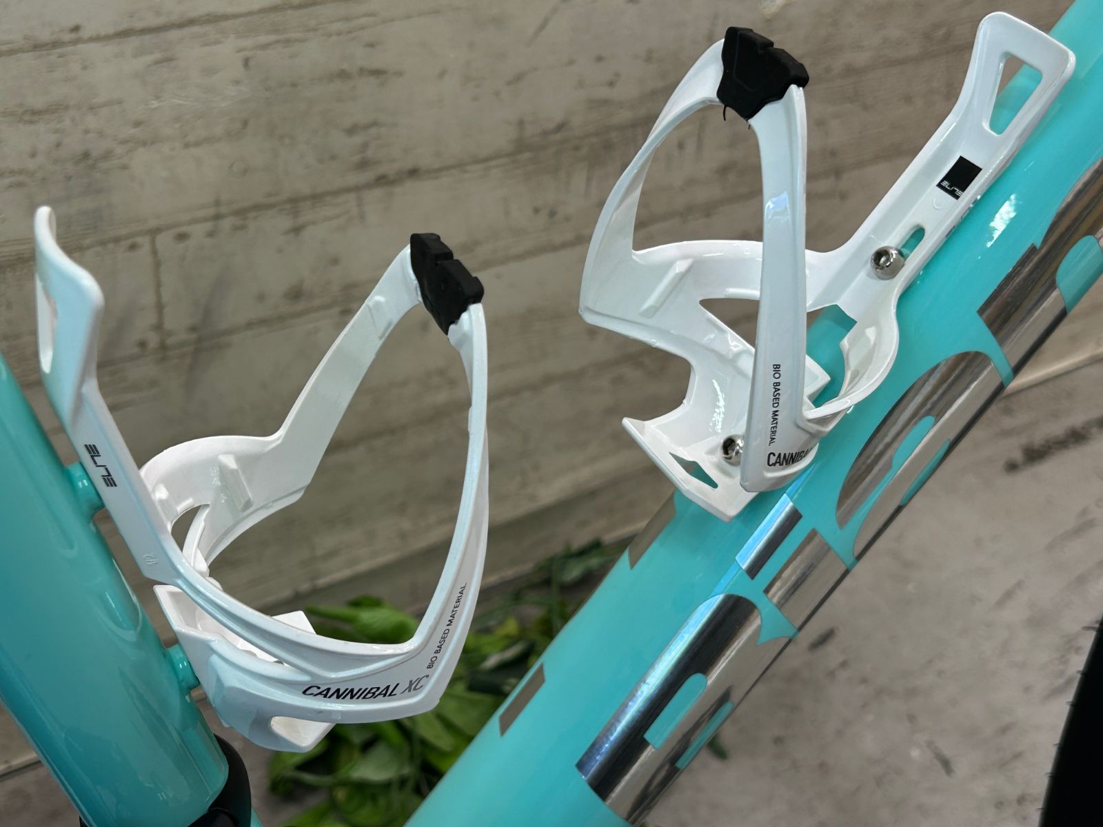 ビアンキ ヴィア