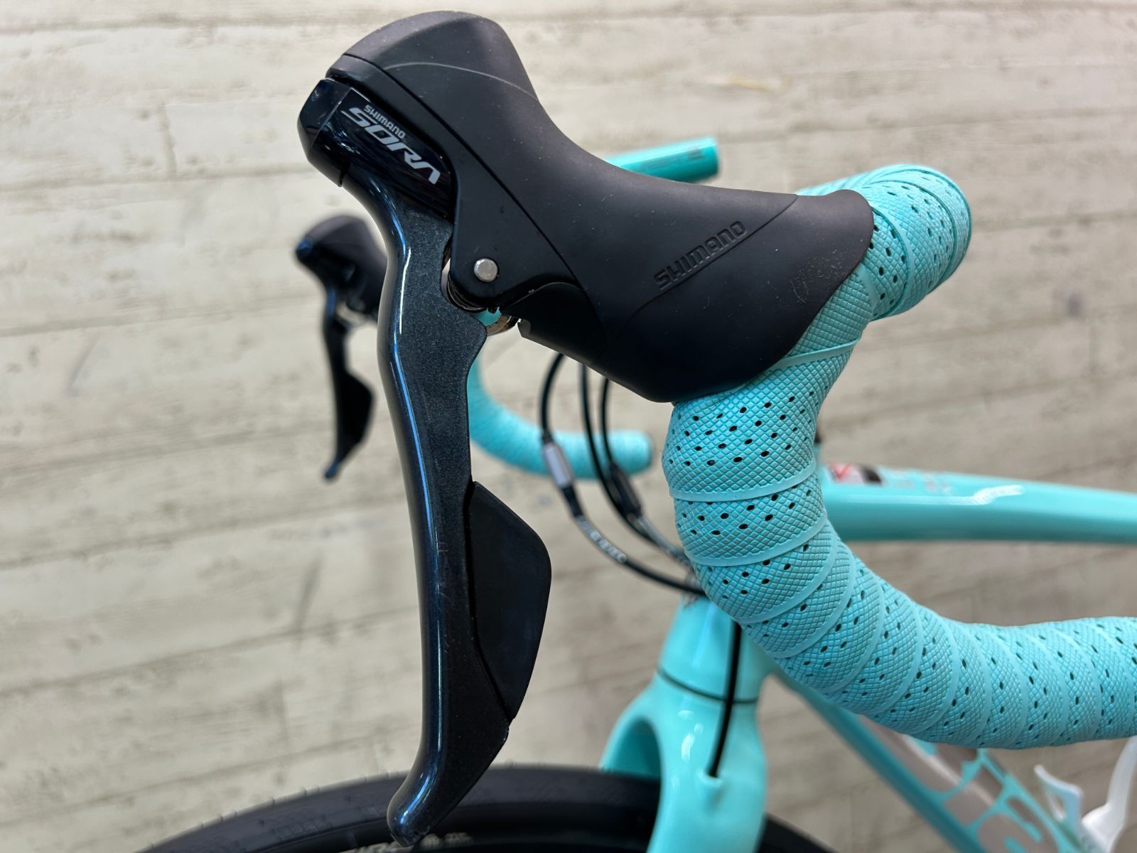 テルスポ イチ推し!!