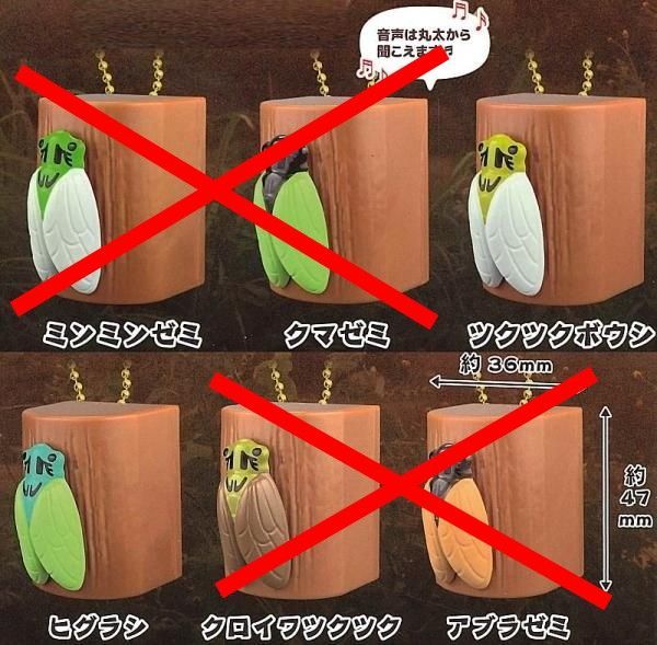 セミの鳴き声2 × 2種セット セミの鳴き声 セミ 蝉 鳴き声 ガチャ