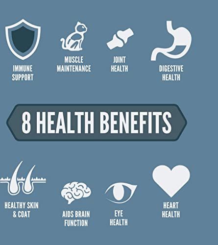 オリジン ガーディアン8