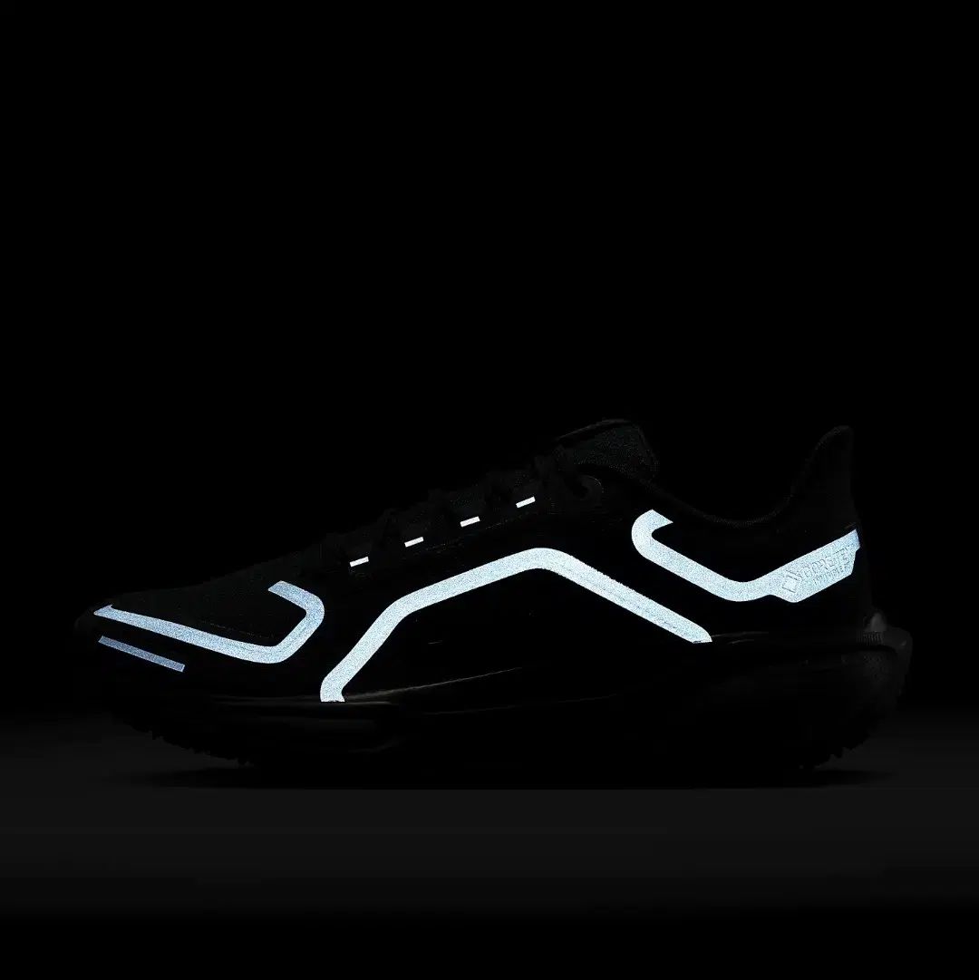  NIKE ナイキ 290 エア ズーム ペガサス ゴアテックス ブラック FQ 1356 001 スニーカー 靴