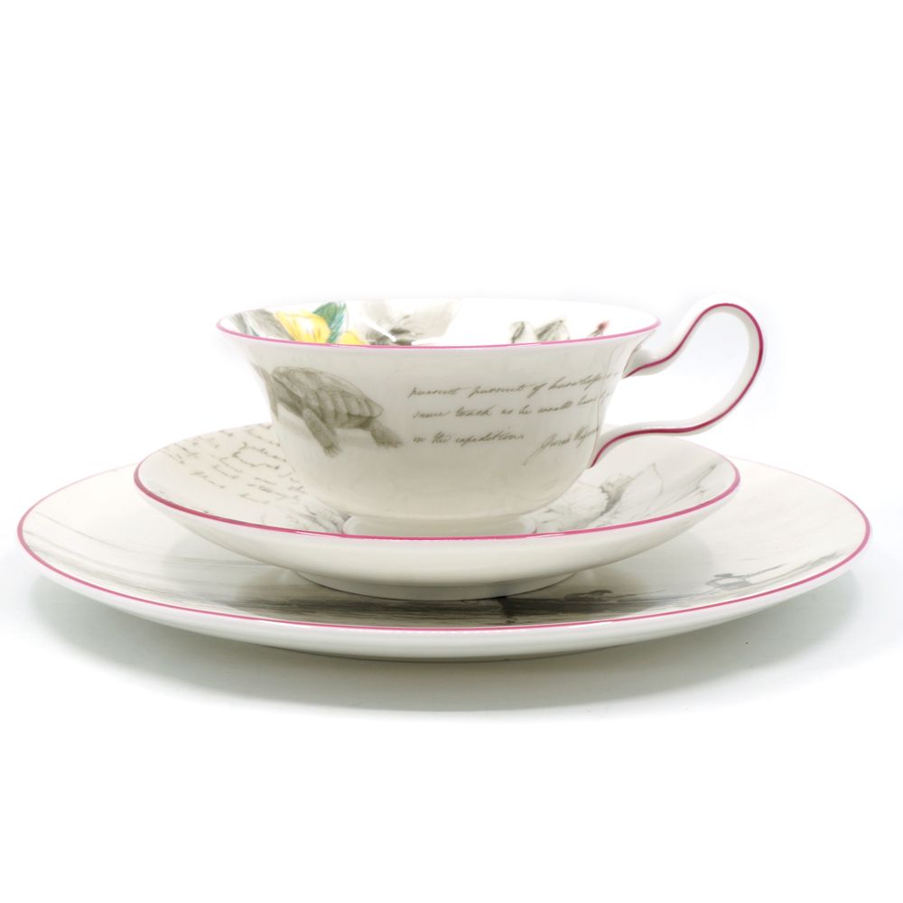 栄 ウェッジウッド ヴォヤージュ オブ ザ ビーグル 3ピースセット タヒチ 食器 皿 小物 その他