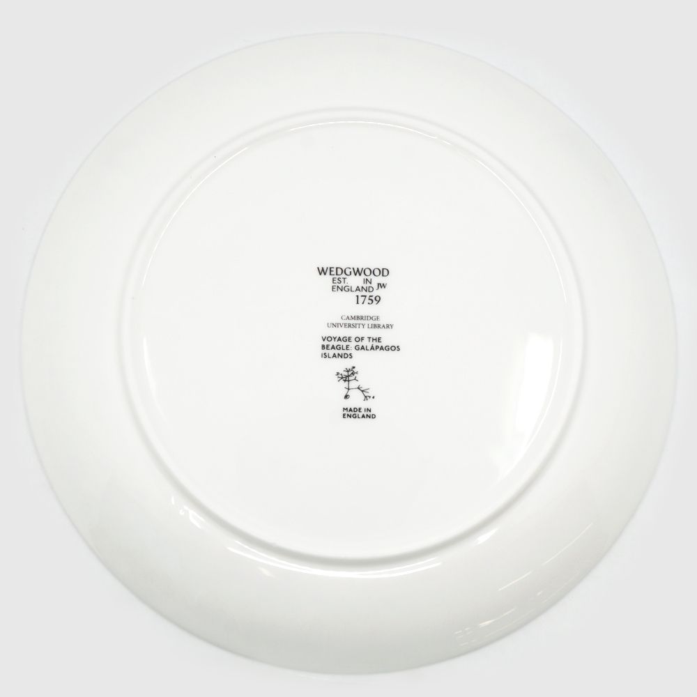 ウェッジウッド