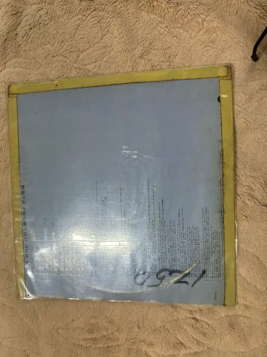 異性愛 発熱 LP ー イン ザ ウィンド 焼く 手紙