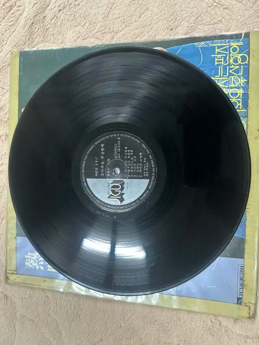 異性愛 発熱 LP ー イン ザ ウィンド 焼く 手紙