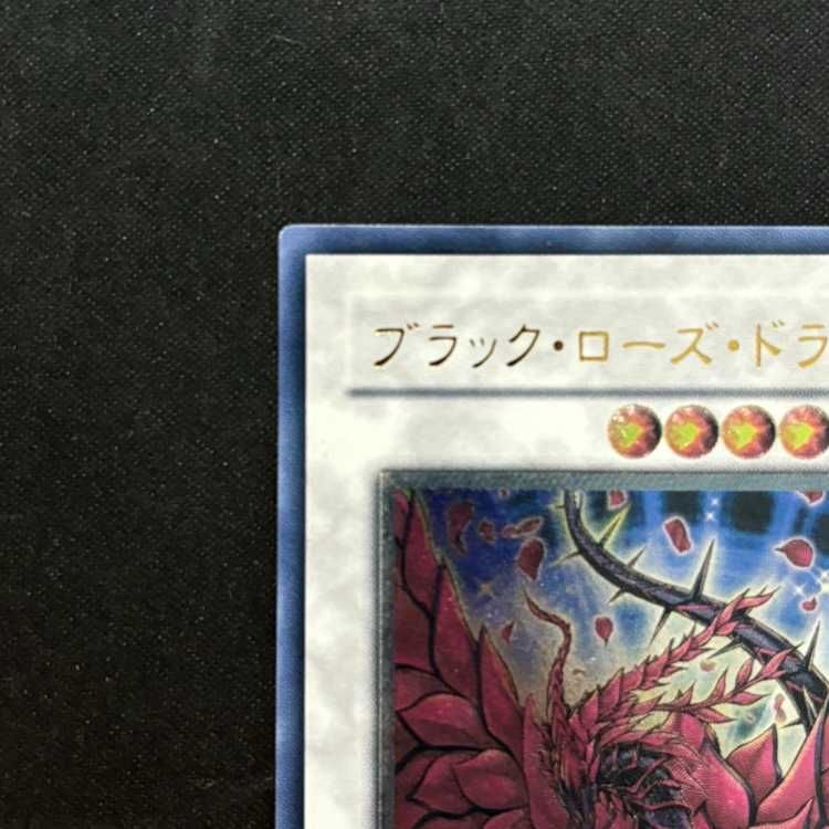 ブラック・ローズ・ドラゴン CSOC-JP039とその他レリーフ 遊戯王 英語版 CSOC-EN039 ブラック・ローズ・ドラゴン レリーフ