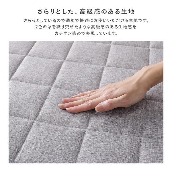 グレージュ Cタイプ