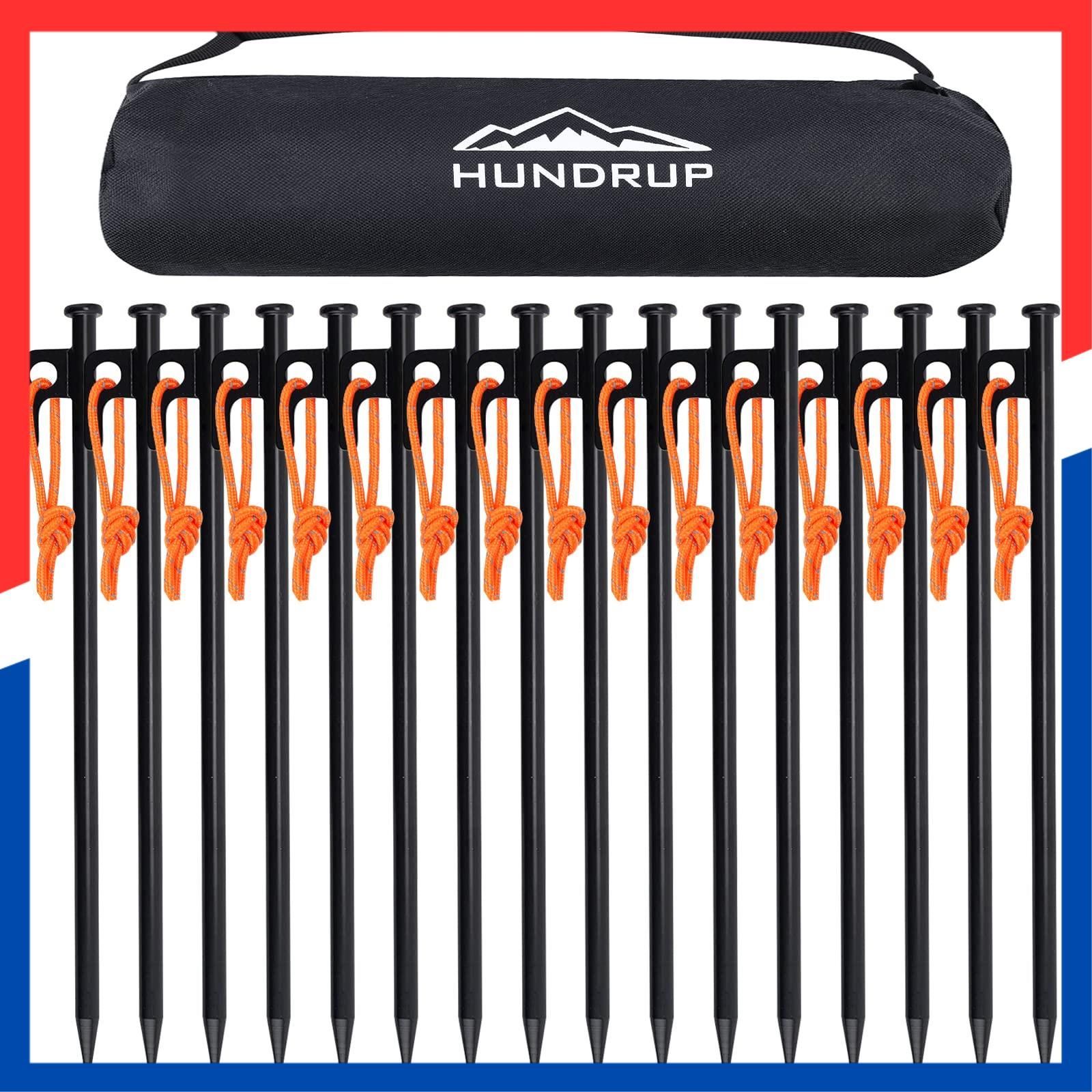 業界初】AVOFOREST 鍛造ペグ アルミ製 ペグ キャンプペグ 20cm/30cm 4