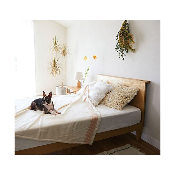 ボタニカルダイ なめらかコットン毛布 オレンジ K60808436