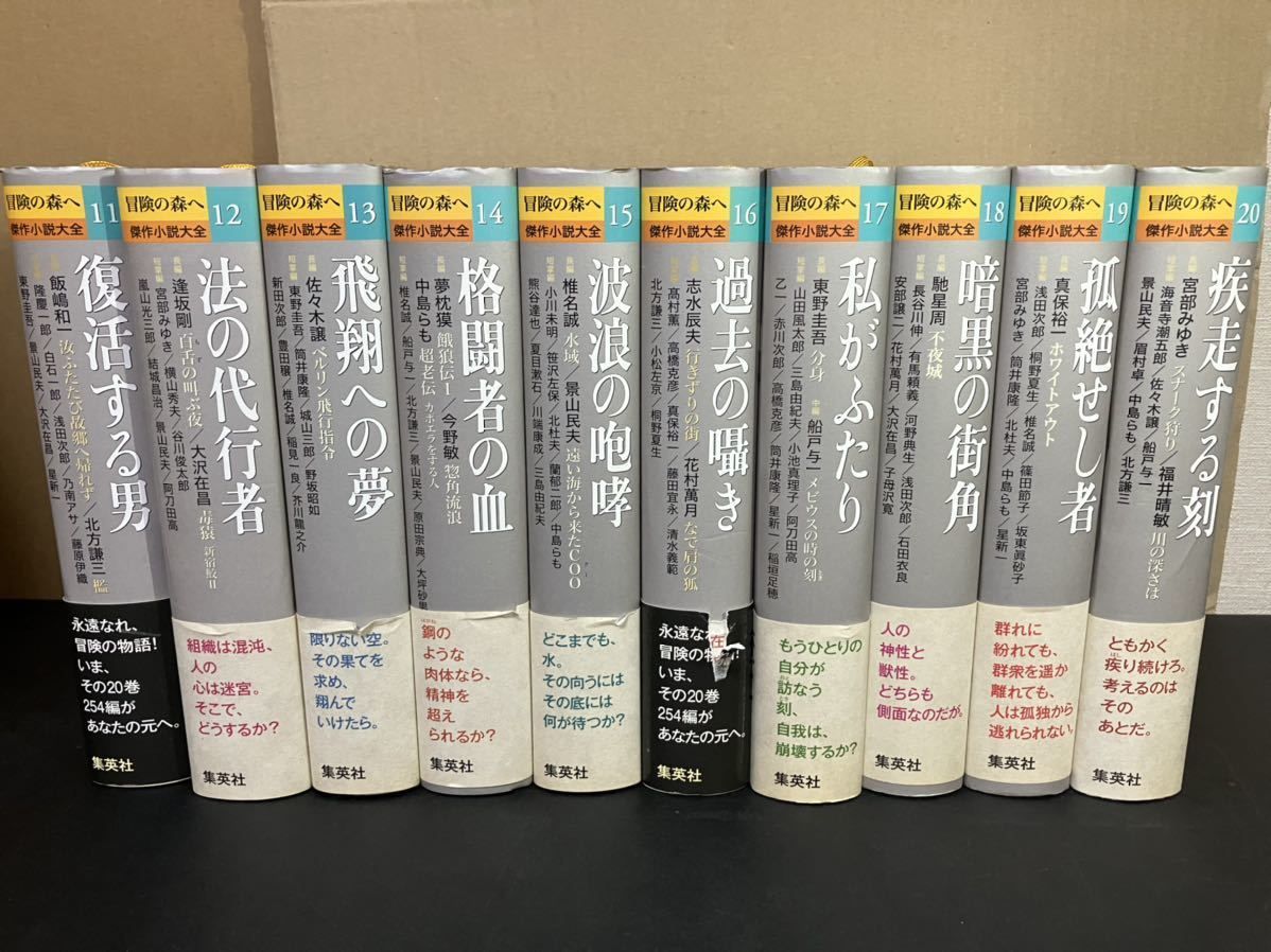 冒険の森へ 小説大全