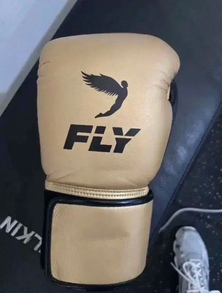 EVERLAST ヘッドギア フライ 16オンス グローブ