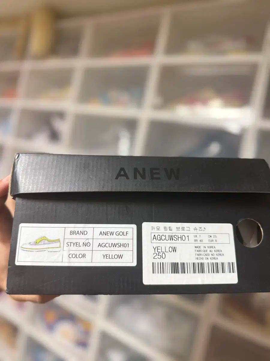 アニュー ウイングチップ