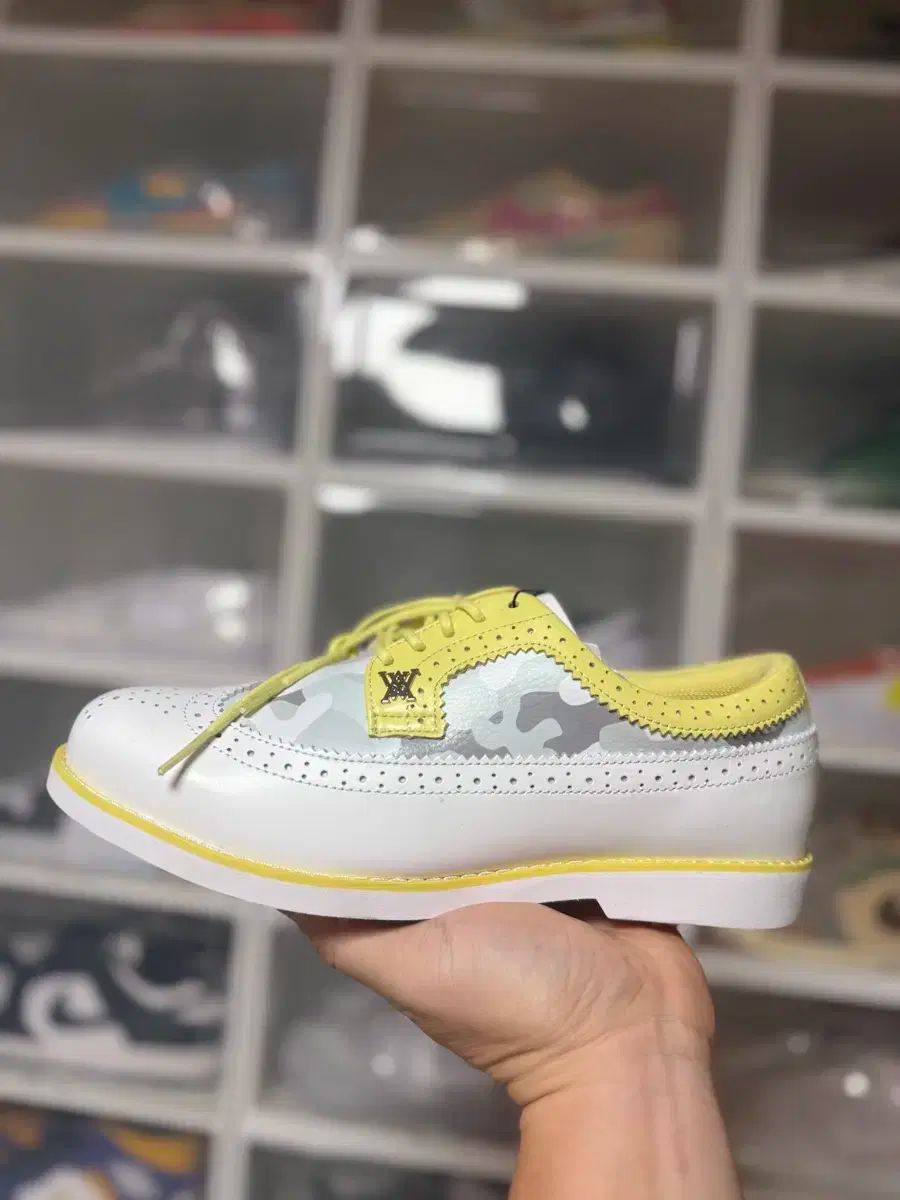 アニュー ウイングチップ ゴルフシューズ 250