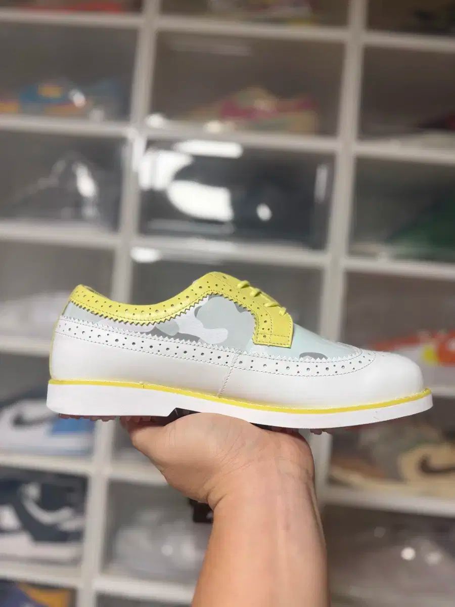 アニュー ウイングチップ ゴルフシューズ 250