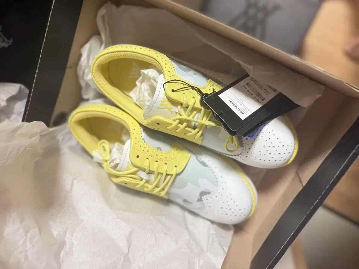 ゴルフシューズ 250