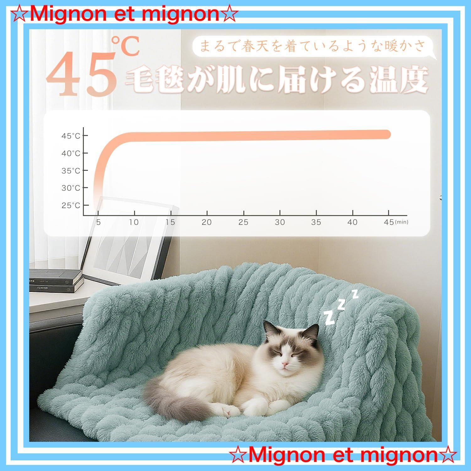 DRMTYGG001 ダニ退治 PSE認証済 170 130cm ふわふわ ポリエステル 掛け 敷布団両用 丸洗い 洗濯機 手洗い対応 省エネ ライトグリーン 切タイマー 5段温度調節 厚手保温 超滑らか触感 電気ブランケット ひざ掛け