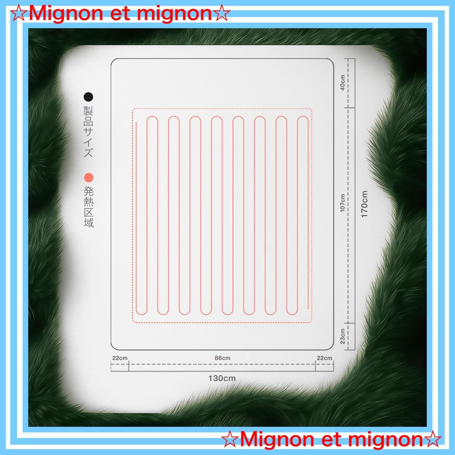 DRMTYGG001 ダニ退治 PSE認証済 170 130cm ふわふわ ポリエステル 掛け 敷布団両用 丸洗い 洗濯機 手洗い対応 省エネ ライトグリーン 切タイマー 5段温度調節 厚手保温 超滑らか触感 電気ブランケット ひざ掛け MARWIL-DEMENAGEMENTS_CH