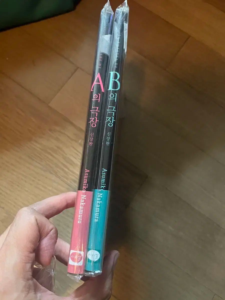 Aの劇場 Bの劇場 新蔵版 中村 アスミコ 全巻