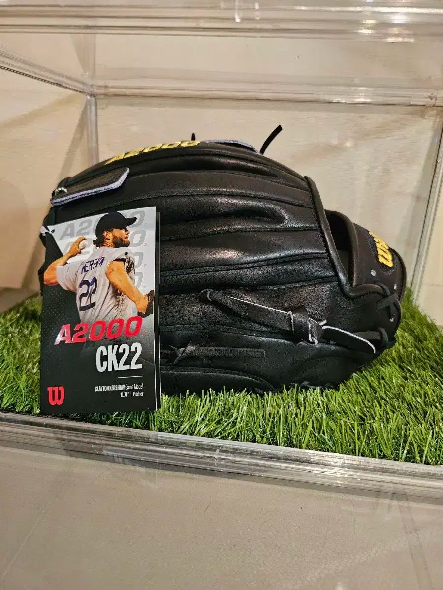 モデル グローブ