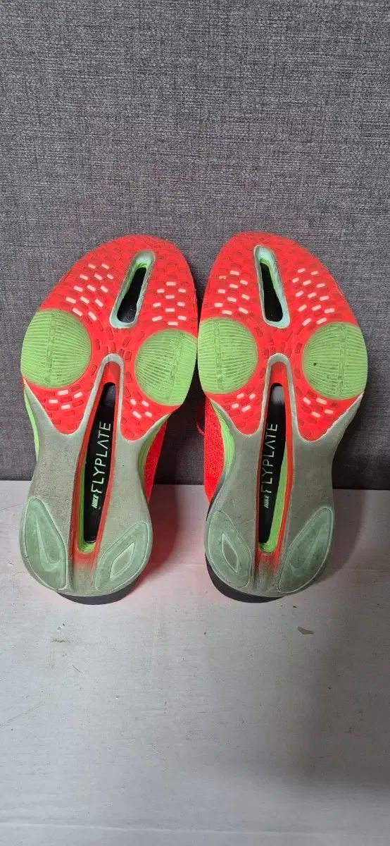 アルファフライ 3